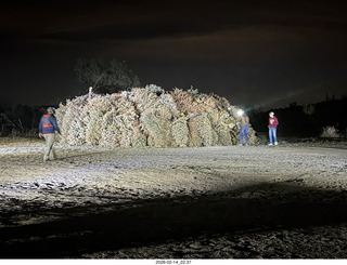 Arizona Flying Circus - night - Christmas trees
