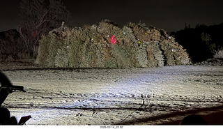 Arizona Flying Circus - night - Christmas trees under attack