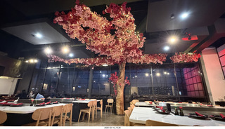Sushi & Steak restaurant - cherry tree