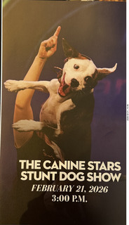 Chandler Arts - Canine Stars Stunt Dog Show - program