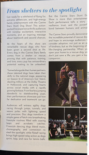 Chandler Arts - Canine Stars Stunt Dog Show - program