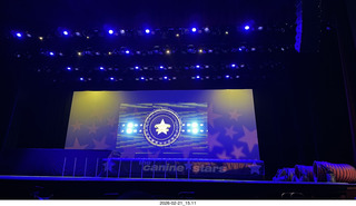 Chandler Arts - Canine Stars Stunt Dog Show