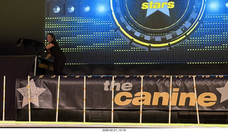 Chandler Arts - Canine Stars Stunt Dog Show