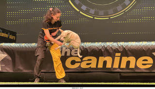 Chandler Arts - Canine Stars Stunt Dog Show
