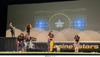 Chandler Arts - Canine Stars Stunt Dog Show