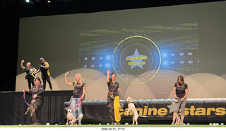 Chandler Arts - Canine Stars Stunt Dog Show