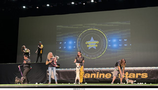 Chandler Arts - Canine Stars Stunt Dog Show