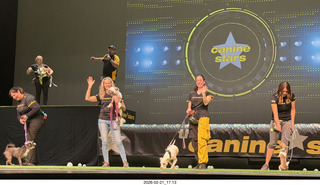 Chandler Arts - Canine Stars Stunt Dog Show