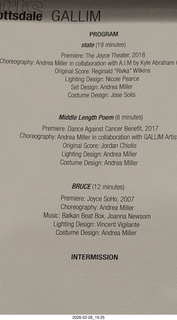 Arizona Musicfest - Festival Orchestra program