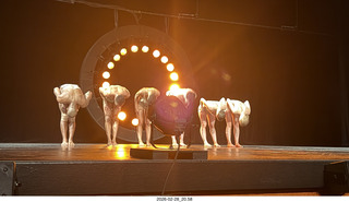 Scottsdale Arts - Gallim Dance