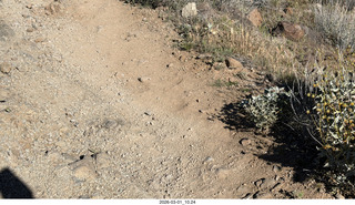 hiking trail