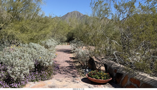 Taleisin West (Frank Lloyd Wright) - David Dodge House - McDowell Sonoran Conservancy breakfast booklet
