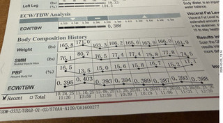 InBody analysis
