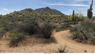 Scottsdale - Granite Mountain hike - flowers