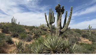 Scottsdale - Granite Mountain hike