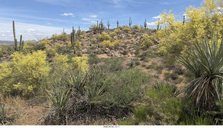 Scottsdale - Granite Mountain hike