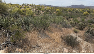 Scottsdale - Granite Mountain hike