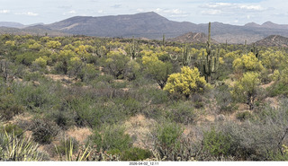 Scottsdale - Granite Mountain hike