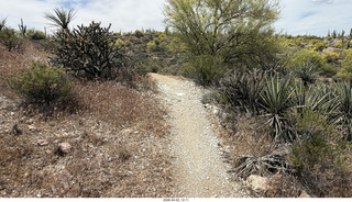 Scottsdale - Granite Mountain hike