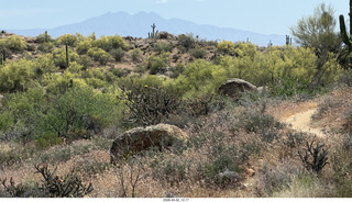 Scottsdale - Granite Mountain hike