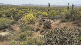 Scottsdale - Granite Mountain hike - sign