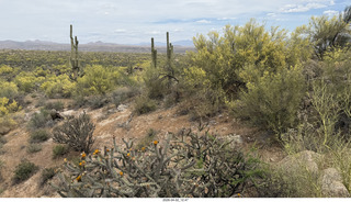 Scottsdale - Granite Mountain hike