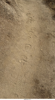 Scottsdale - Granite Mountain hike - hoofprints