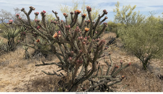 Scottsdale - Granite Mountain hike