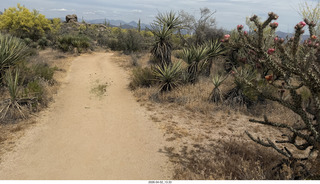 Scottsdale - Granite Mountain hike