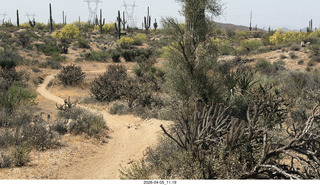 Brown's Ranch hike