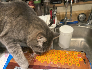 cereal bag with cat Potato