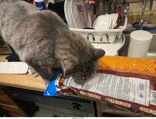 cereal bag with cat Potato