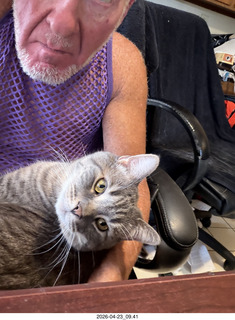 Adam and cat Potato