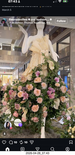 NovaPetal flower-man