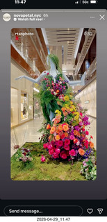 NovaPetal flowerman