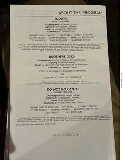 New York Cithy - Joyce Theater - Dave Parsons dance program