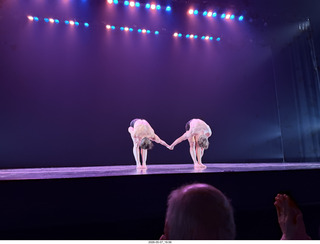 New York Cithy - Joyce Theater - Dave Parsons dance