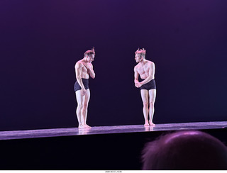 New York Cithy - Joyce Theater - Dave Parsons dance ticket