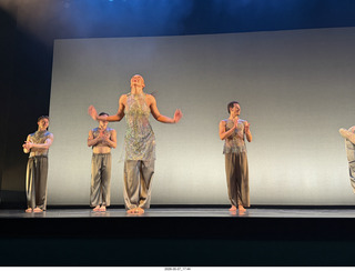 New York Cithy - Joyce Theater - Dave Parsons dance