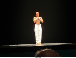 New York Cithy - Joyce Theater - Dave Parsons dance