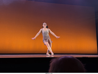 New York Cithy - Joyce Theater - Dave Parsons dance