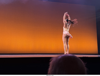 New York Cithy - Joyce Theater - Dave Parsons dance