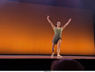 New York Cithy - Joyce Theater - Dave Parsons dance