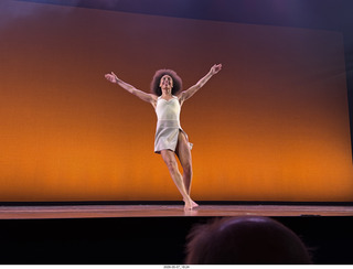 New York Cithy - Joyce Theater - Dave Parsons dance