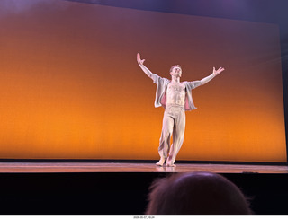 New York Cithy - Joyce Theater - Dave Parsons dance
