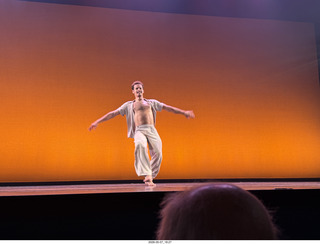 New York Cithy - Joyce Theater - Dave Parsons dance