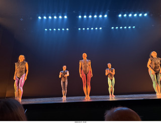 New York Cithy - Joyce Theater - Dave Parsons dance