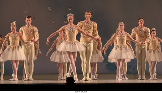 New York City Ballet - musicians
