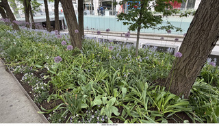 New York City flowers