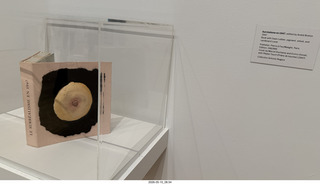 New York City - MoMA - Marcel Duchamp